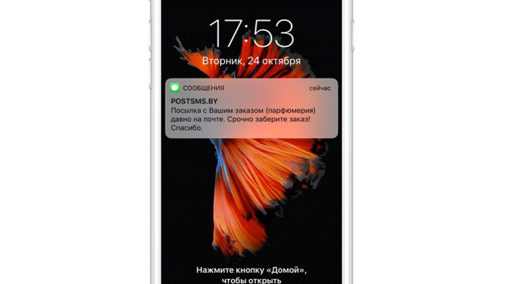 Если в течение 5-и дней заказ так и не выкуплен, приходит еще напоминание:
