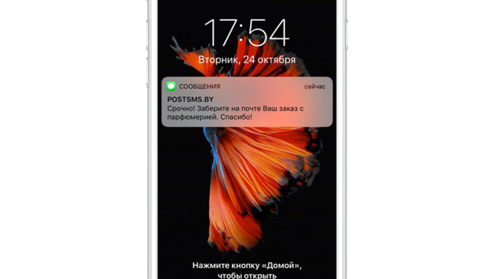 Если через 10 дней заказ так и не выкуплен, приходит еще одно напоминание о необходимости забрать свой заказ