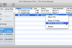 Файловый менеджер Kerio Workspace отображает информацию о статусе синхронизируемых файлов.Он также показывает где данный файл хранится на вашем компьютере и в онлайновом режиме