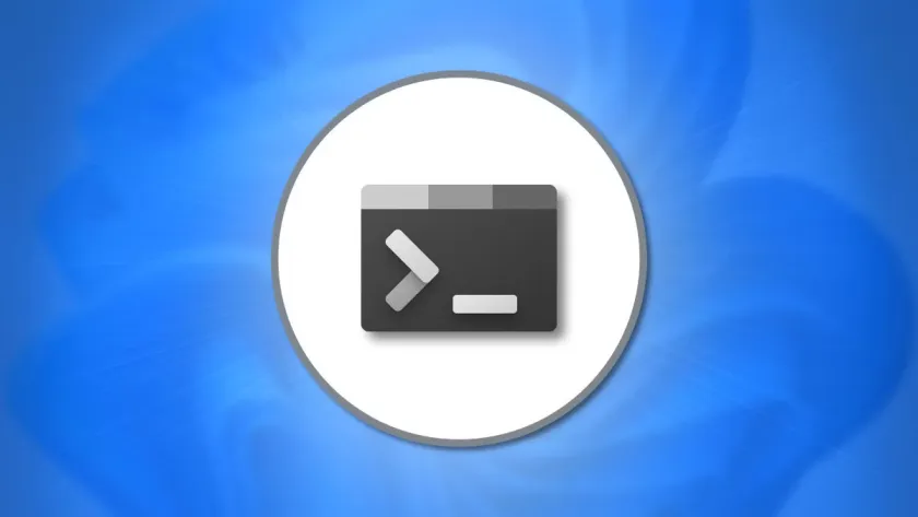 Обновление Windows Terminal: что изменилось в версиях 1.23 и 1.24.
