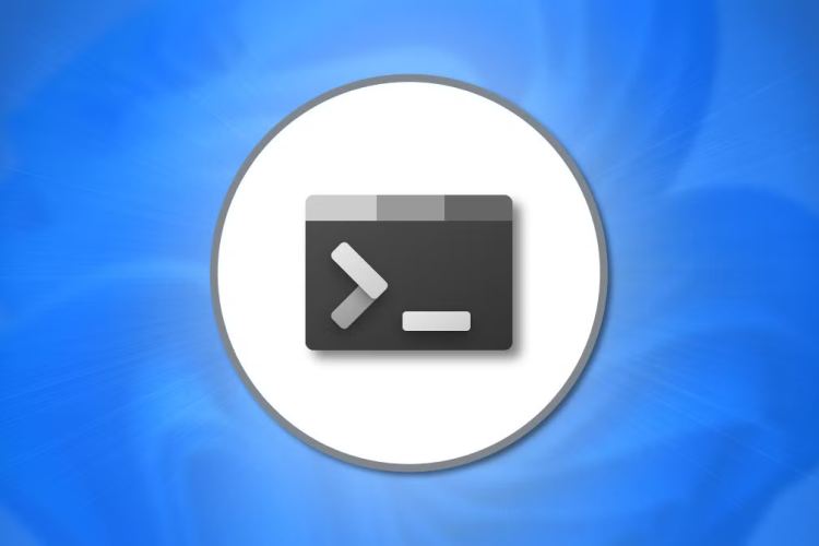 Обновление Windows Terminal: что изменилось в версиях 1.23 и 1.24.